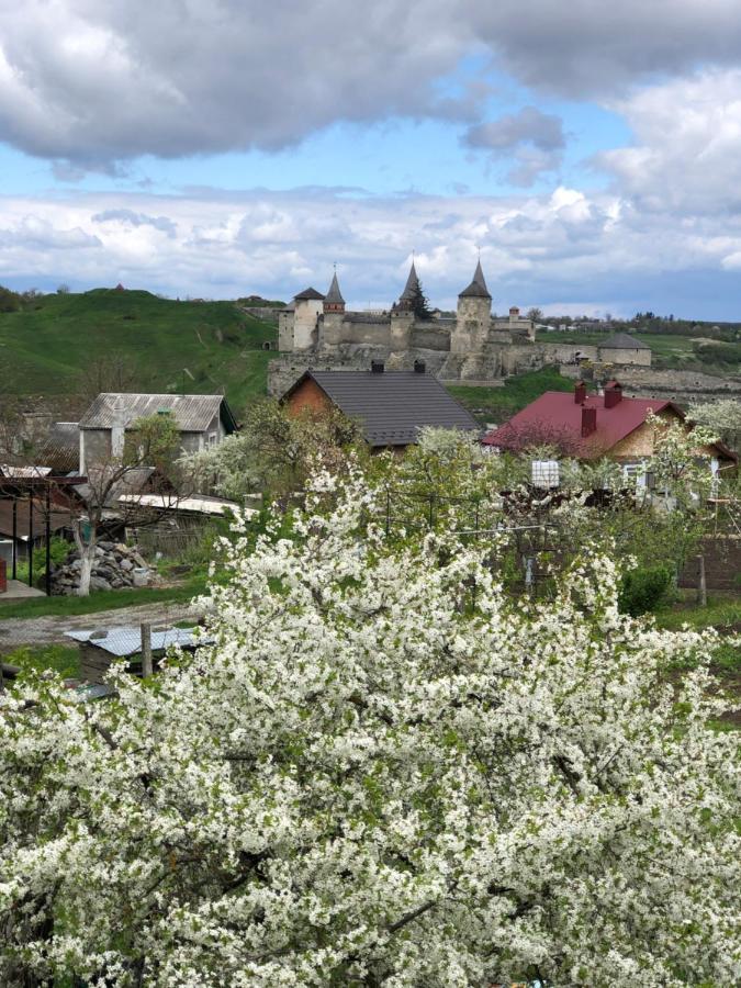 Vacation Home Lubov Kamianets Podilskyi Bagian luar foto